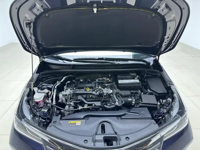 Asia Lion 2021 Model 2.0L Deluxe Edition – фото 10