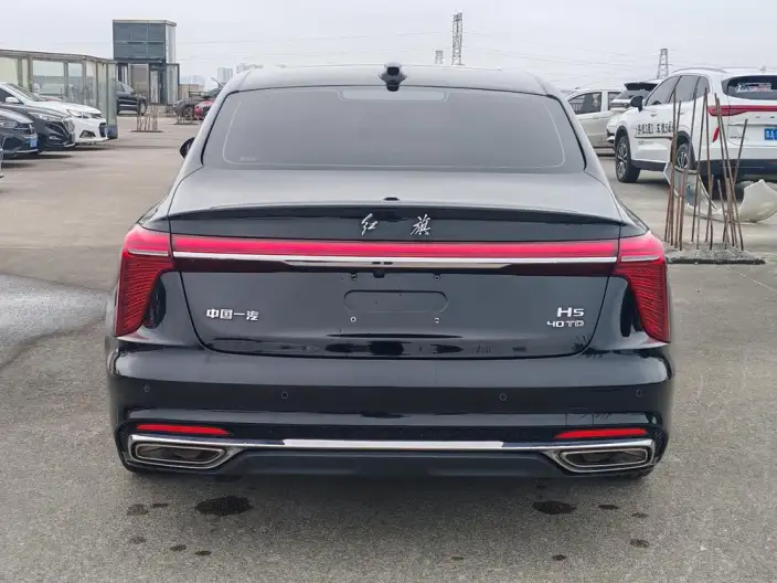 Hongqi H5 2023 Model 2.0T Automatic Flag Enjoy Edition – фото 5