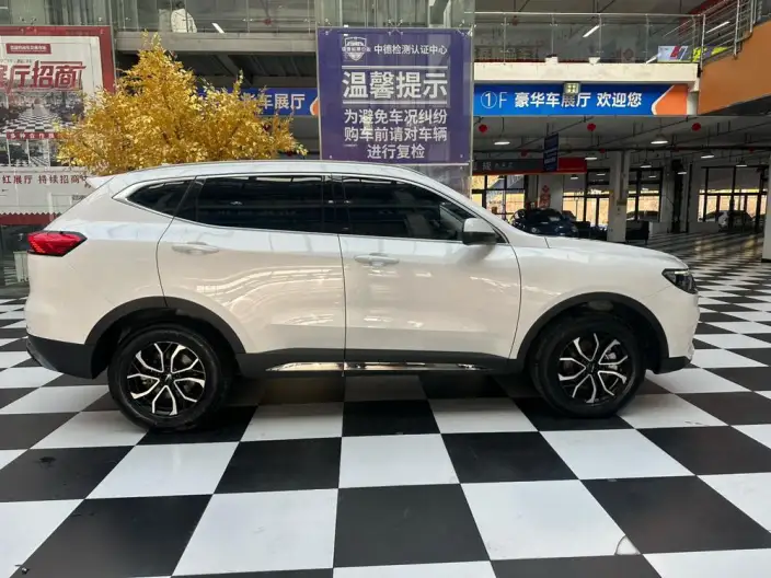 Haval H6 2021 Model Guo Trendy Edition 1.5T Automatic Urban Edition – фото 7