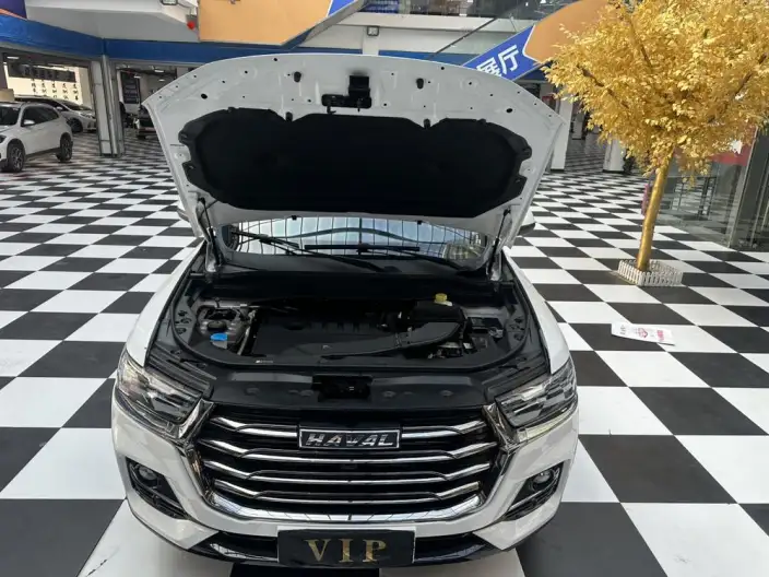 Haval H6 2021 Model Guo Trendy Edition 1.5T Automatic Urban Edition – фото 8