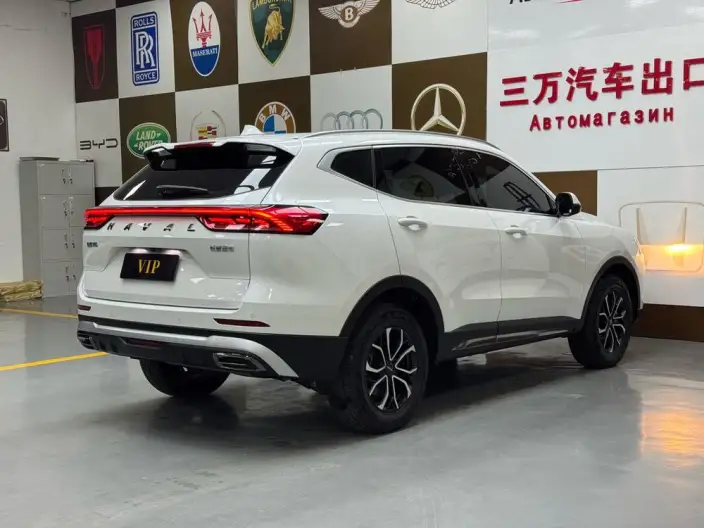 Haval H6 2021 Model Guo Trendy Edition 1.5T Automatic Urban Edition – фото 6