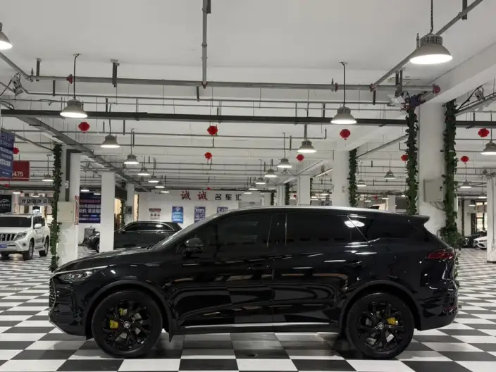 BYD Tang DM 2025 Model DM-i 115KM Noble Model