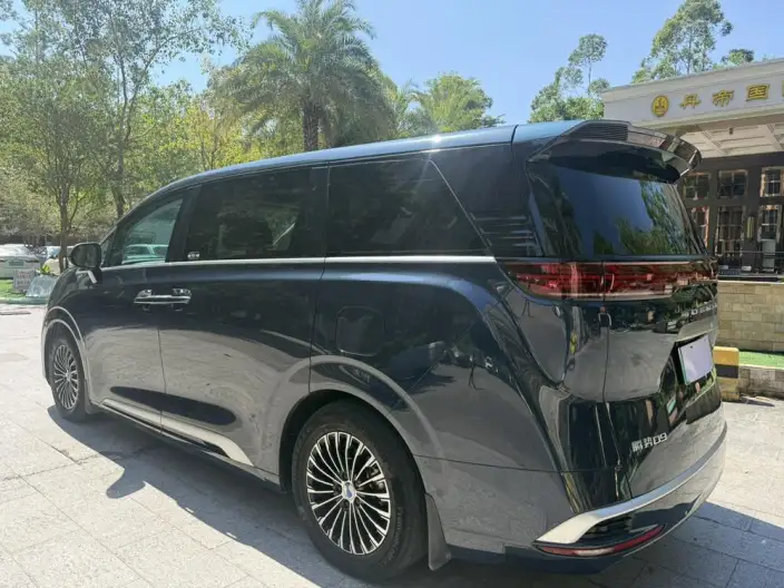 DENZA D9 DM 2022 Model 970 4WD Flagship Model – фото 5