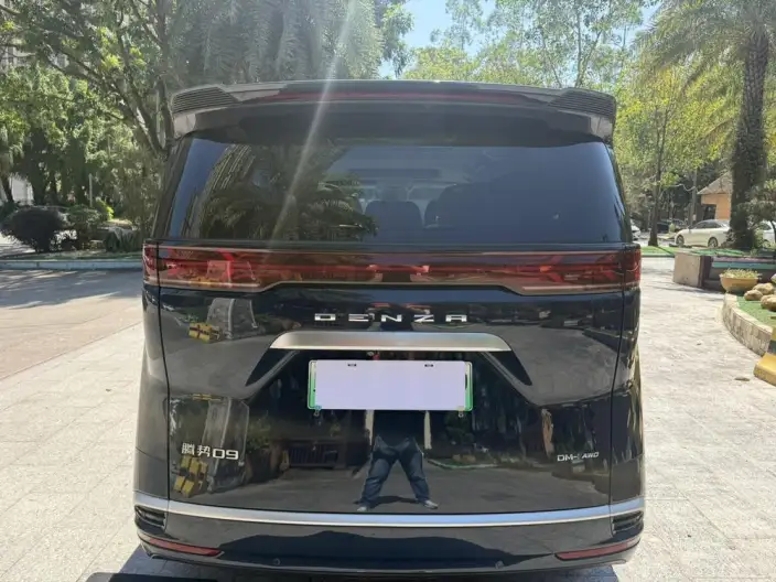 DENZA D9 DM 2022 Model 970 4WD Flagship Model – фото 6