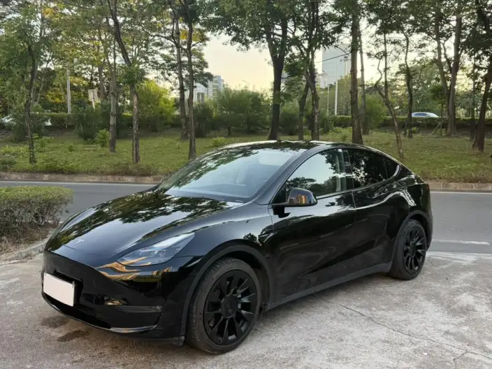 Model Y 2021 Model Standard Battery Life Rear-wheel drive version