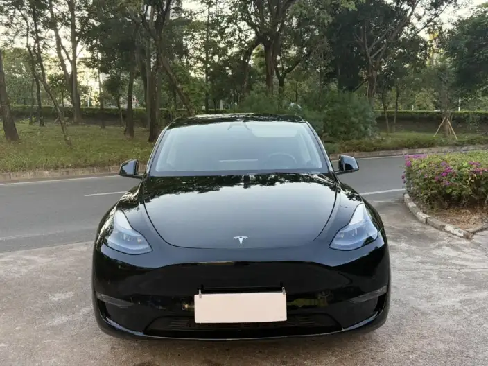 Model Y 2021 Model Standard Battery Life Rear-wheel drive version