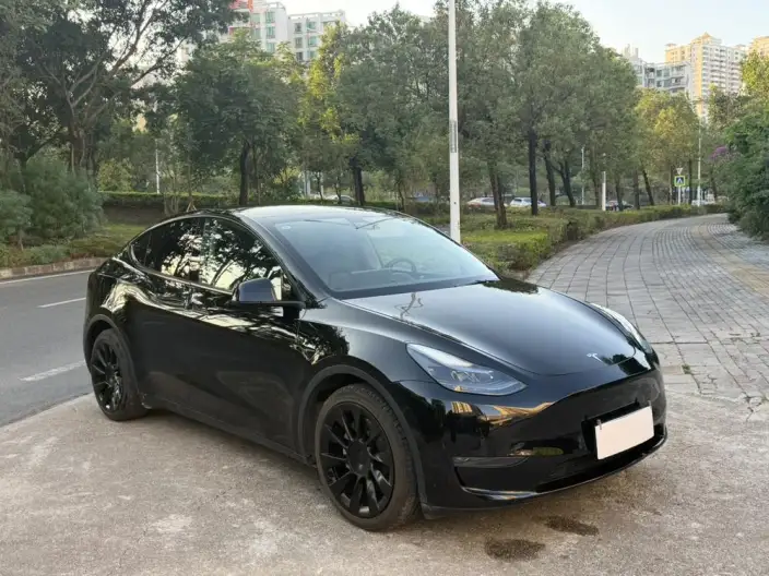 Model Y 2021 Model Standard Battery Life Rear-wheel drive version