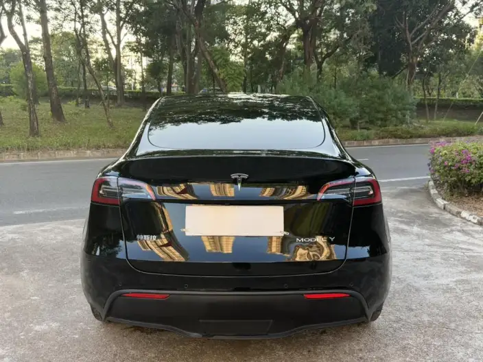 Model Y 2021 Model Standard Battery Life Rear-wheel drive version – фото 5