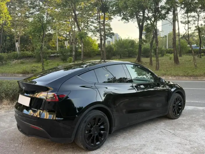 Model Y 2021 Model Standard Battery Life Rear-wheel drive version – фото 6