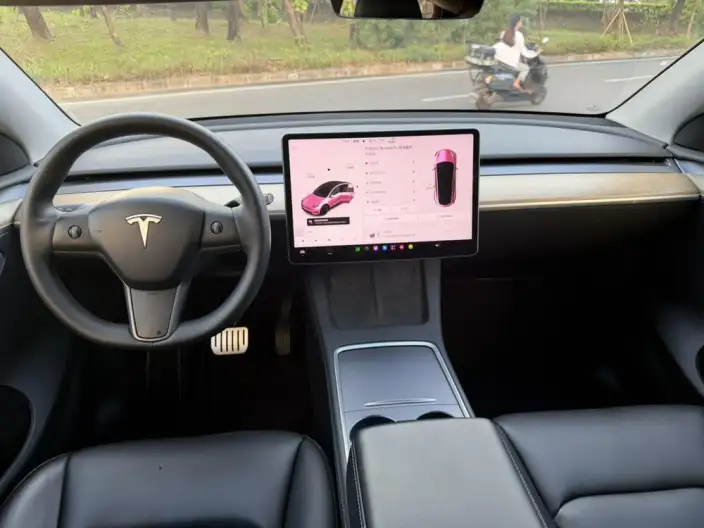 Model Y 2021 Model Standard Battery Life Rear-wheel drive version – фото 7