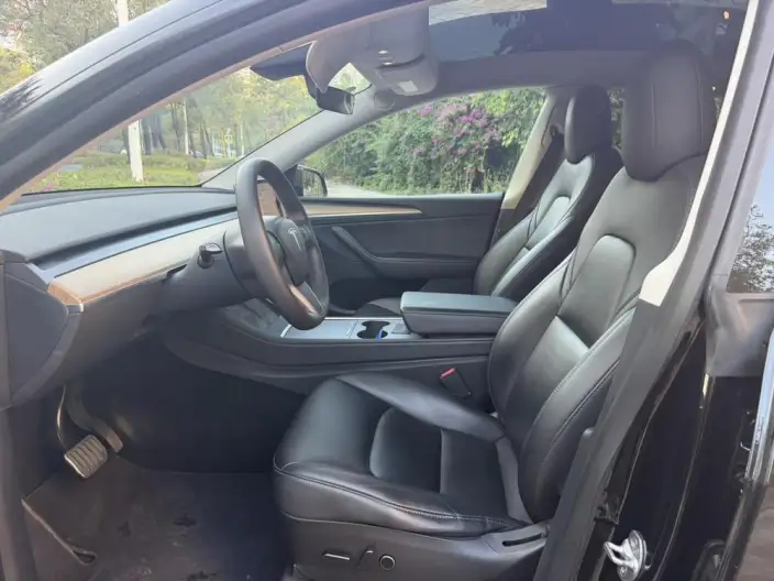 Model Y 2021 Model Standard Battery Life Rear-wheel drive version – фото 8