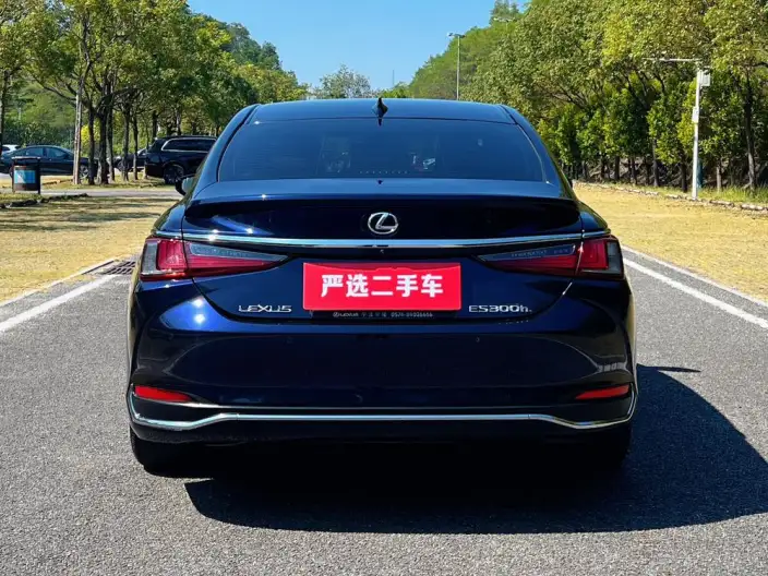 Lexus ES 2022 Model 300h Superior Edition – фото 5
