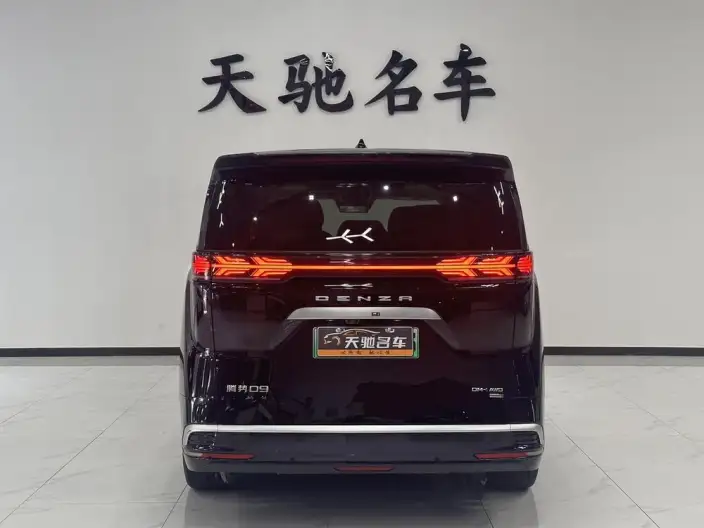 DENZA D9 DM 2025 Model Smart Driving Edition 1020 4WD Flagship Model – фото 3