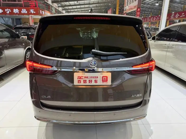 Buick GL8 2023 Model Business class 2.0T Luxury Model – фото 5