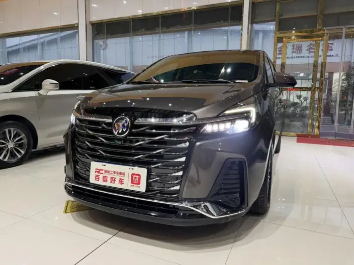Buick GL8 2023 Model Business class 2.0T Luxury Model – фото 9