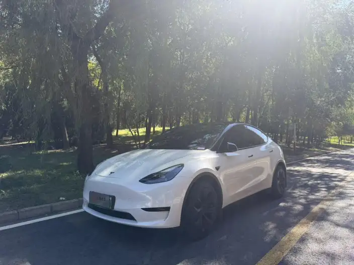 Model Y 2022 Model Facelift Rear-wheel drive version – фото 1