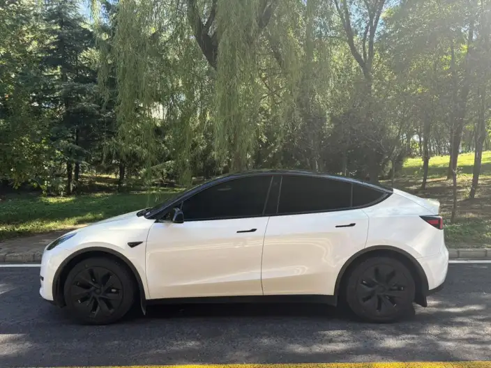 Model Y 2022 Model Facelift Rear-wheel drive version – фото 3