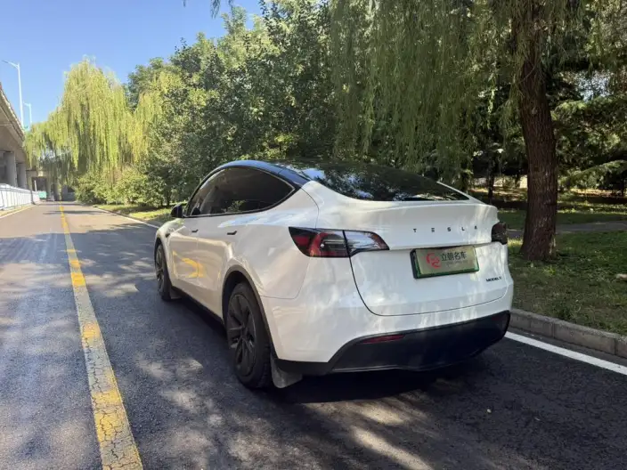 Model Y 2022 Model Facelift Rear-wheel drive version – фото 4