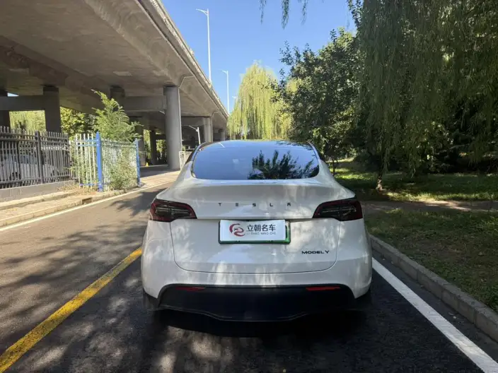 Model Y 2022 Model Facelift Rear-wheel drive version – фото 5