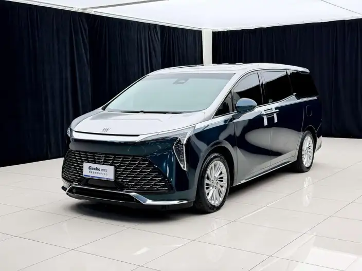 Century 2023 Model 2.0T VI seat Yunshi Edition – фото 1