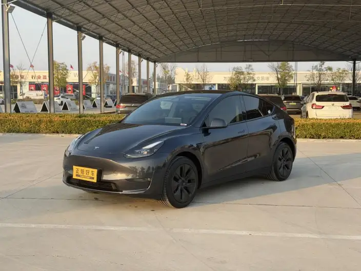 Model Y 2024 Model Long Battery Life Pro All-wheel drive version – фото 1
