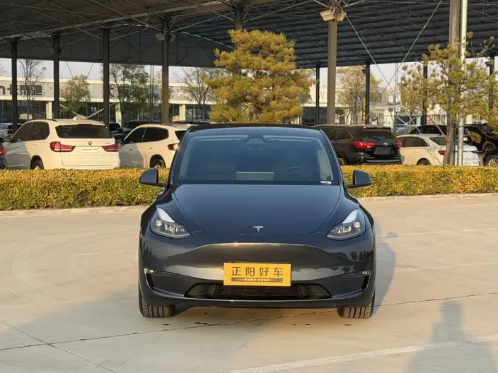 Model Y 2024 Model Long Battery Life Pro All-wheel drive version – фото 2
