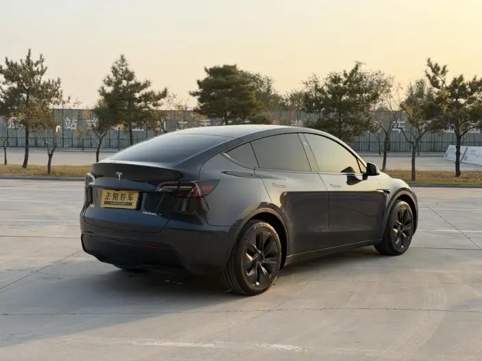 Model Y 2024 Model Long Battery Life Pro All-wheel drive version – фото 6