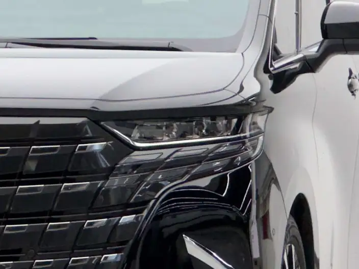 Elfa 2024 Model 2.5L Automatic 4WD 7 seat Parallel Imported – фото 4