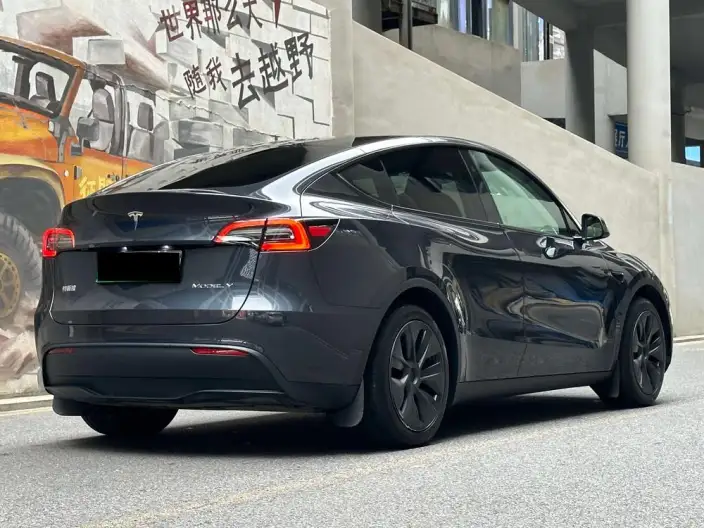 Model Y 2024 Model Rear-wheel drive version – фото 5