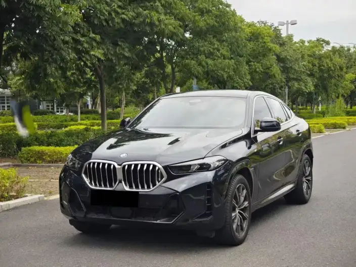 BMW X6 2023 Model Facelift xDrive30i M Sports Set – фото 1