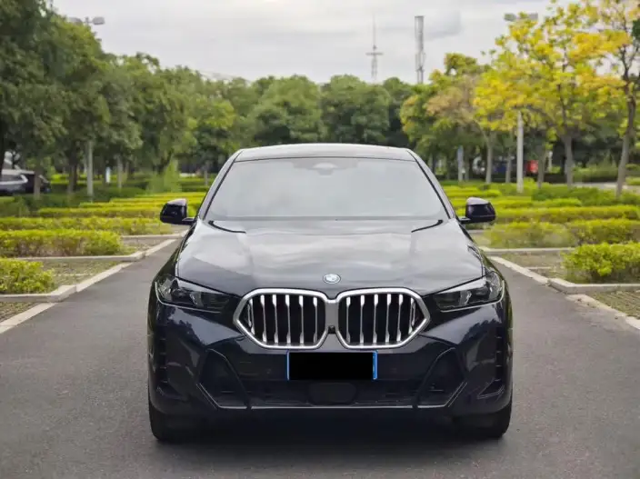 BMW X6 2023 Model Facelift xDrive30i M Sports Set – фото 2