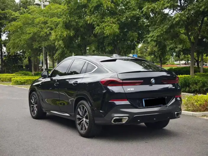 BMW X6 2023 Model Facelift xDrive30i M Sports Set – фото 4