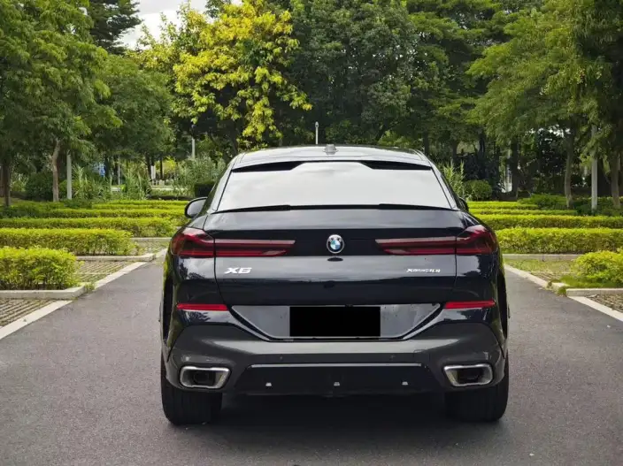 BMW X6 2023 Model Facelift xDrive30i M Sports Set – фото 5