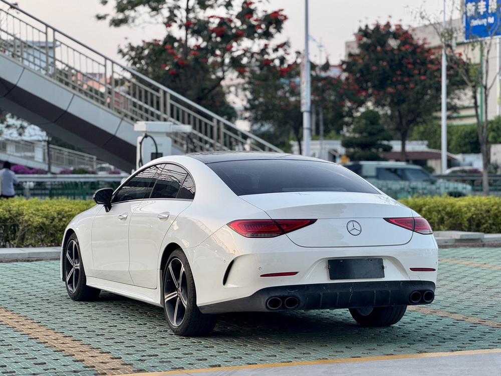 Mercedes-Benz CLS 2020 CLS 300 Luxury – фото 4