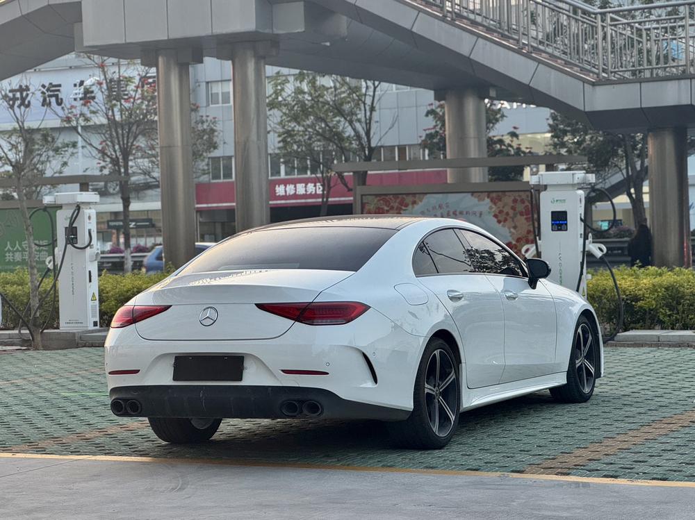Mercedes-Benz CLS 2020 CLS 300 Luxury – фото 6