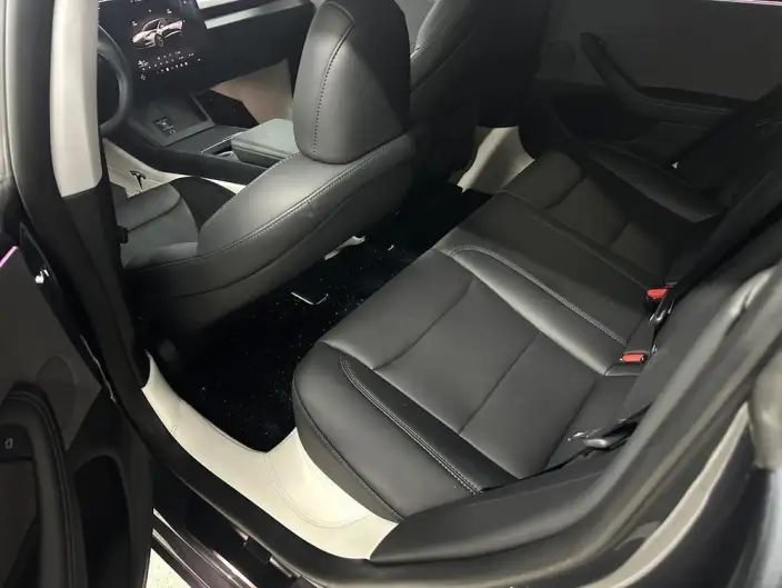 Model 3 2023 Model Rear-wheel drive version – фото 9