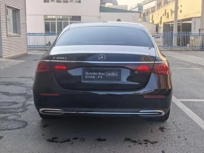 Mercedes-Benz E-Class 2024 Model E 260 L sedan – фото 6