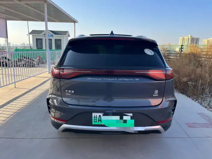 BYD Tang DM 2024 Model Honor Edition DM-i 112KM Flagship Model – фото 3