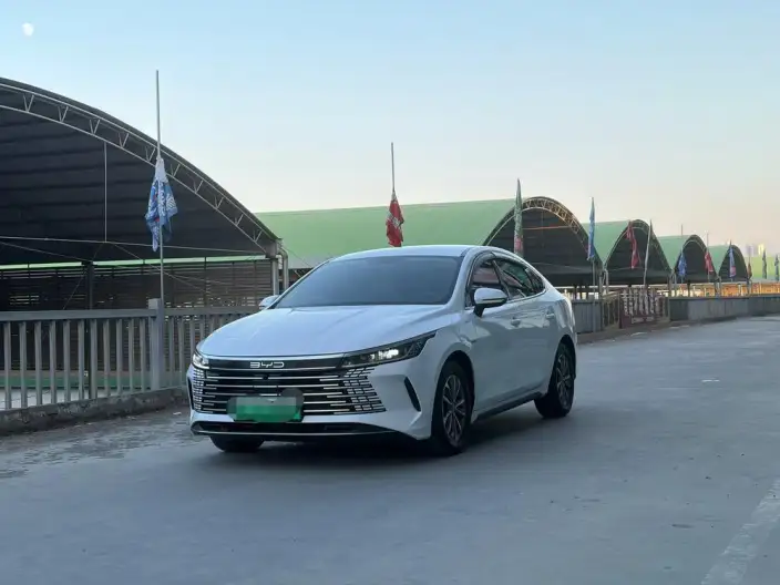 BYD Destroyer 05 2024 Model Honor Edition DM-i 55KM Luxury Model – фото 1