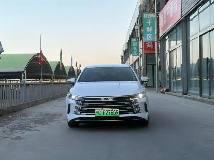 BYD Destroyer 05 2024 Model Honor Edition DM-i 55KM Luxury Model – фото 2