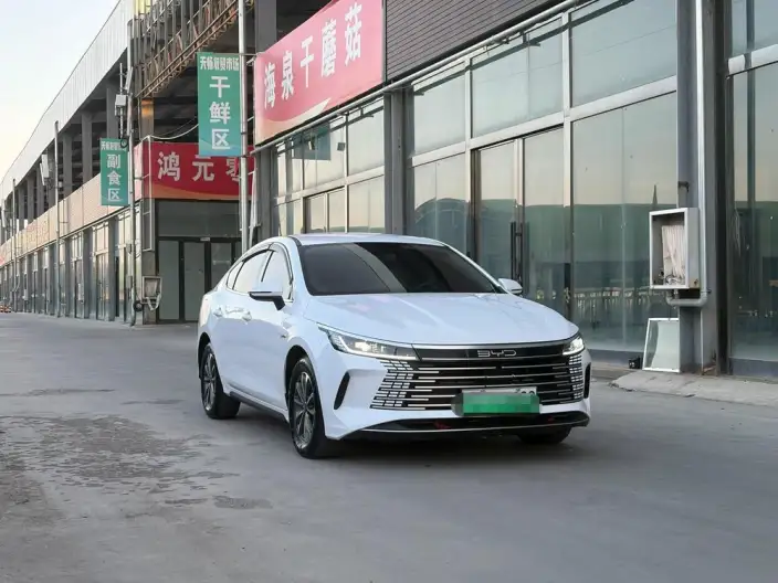 BYD Destroyer 05 2024 Model Honor Edition DM-i 55KM Luxury Model – фото 3