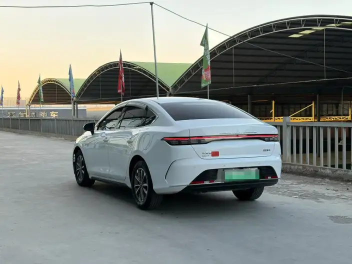 BYD Destroyer 05 2024 Model Honor Edition DM-i 55KM Luxury Model – фото 4