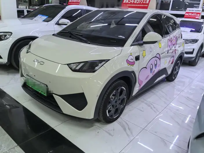 BYD Seagull 2025 Model Smart Driving Edition 305KM Free Edition – фото 1