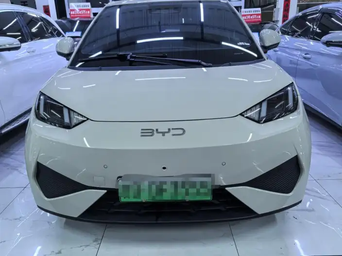 BYD Seagull 2025 Model Smart Driving Edition 305KM Free Edition – фото 2