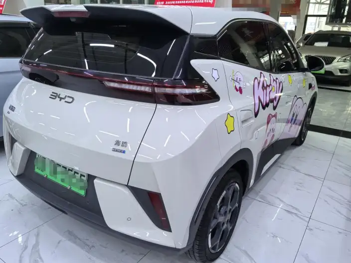 BYD Seagull 2025 Model Smart Driving Edition 305KM Free Edition – фото 5