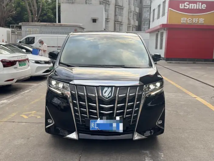 Elfa 2021 Model Hybrid 2.5L Deluxe Edition – фото 2