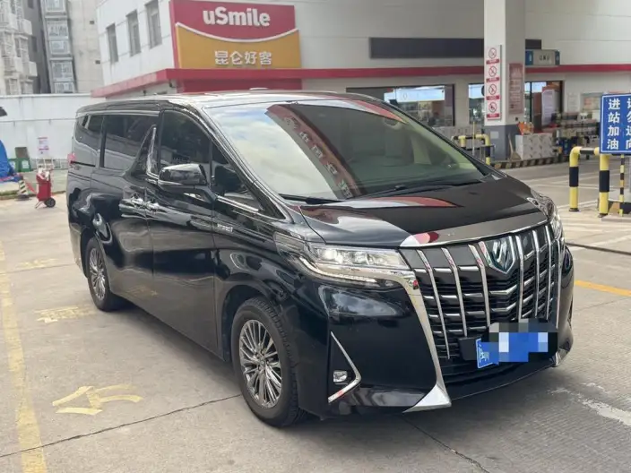 Elfa 2021 Model Hybrid 2.5L Deluxe Edition – фото 3
