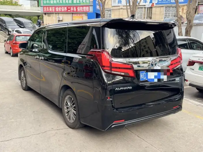 Elfa 2021 Model Hybrid 2.5L Deluxe Edition – фото 4