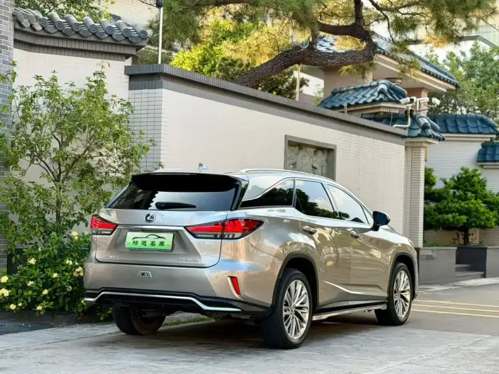 Lexus RX 2020 Model 450hL 4WD Elegant Edition 7 seat China V – фото 5
