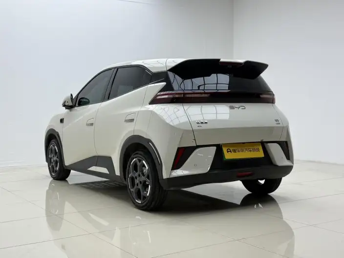 BYD Seagull 2025 Model Smart Driving Edition 305KM Free Edition – фото 5